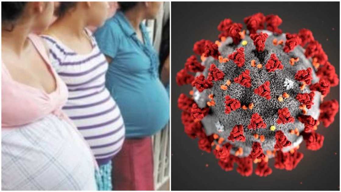 The inability to get contraceptives has been identified as the main cause of the expected situation. Photo source: SROC The inability to get contraceptives has been identified as the main cause of the expected situation. Photo source: SROC