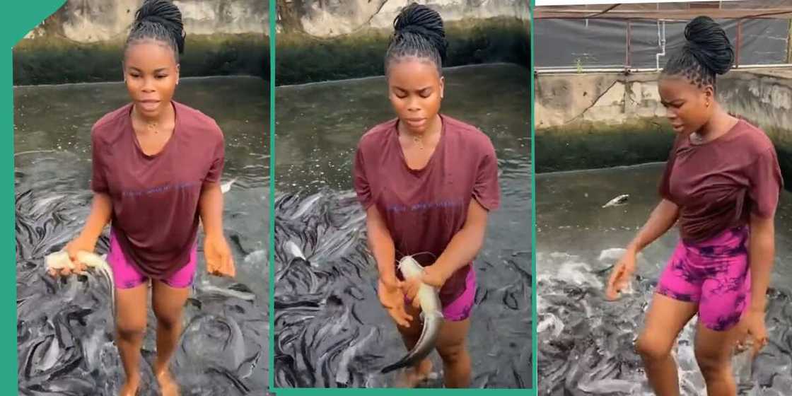 Lady who is a fish farmer shows her pond.