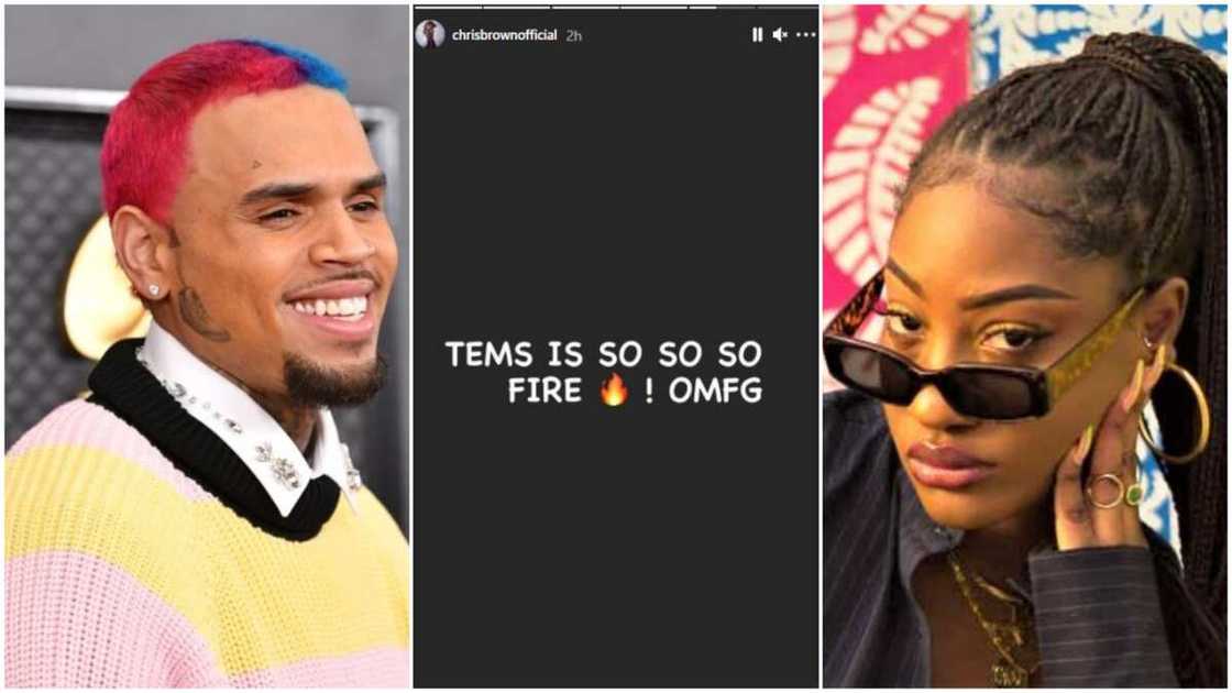 Chris Brown throws weight behind Nigerian singer Tems, says she's fire Chris Brown throws weight behind Nigerian singer Tems, says she's fire