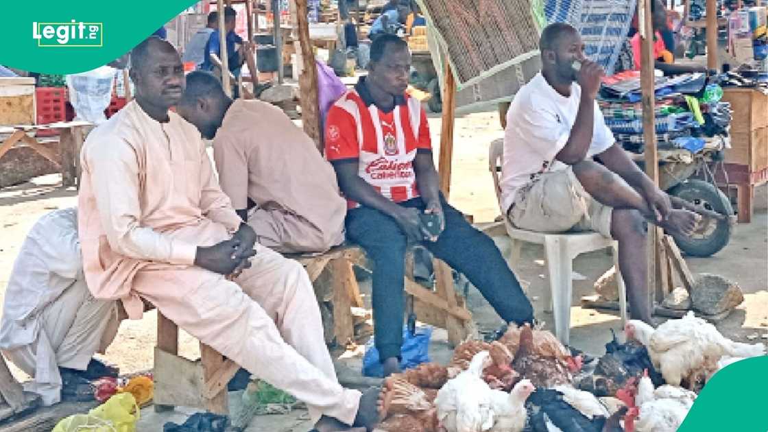 Low Patronage Hits Poultry Traders Even as Chicken Prices Drop Low Patronage Hits Poultry Traders Even as Chicken Prices Drop