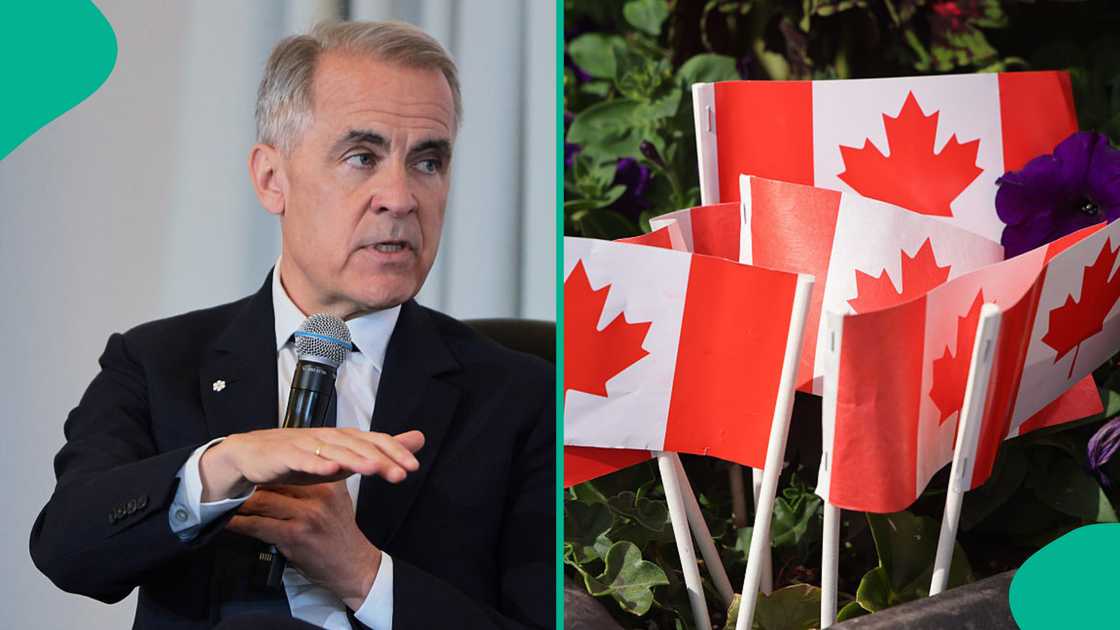 Canadian study permit requires proof of funds, identity documents, and acceptance from a designated learning institution. Canadian study permit requires proof of funds, identity documents, and acceptance from a designated learning institution.