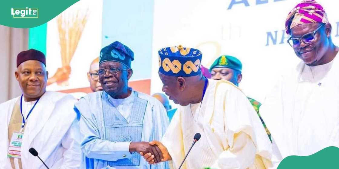 Sources reveal Tinubu back call for Ganduje's replacement Sources reveal Tinubu back call for Ganduje's replacement