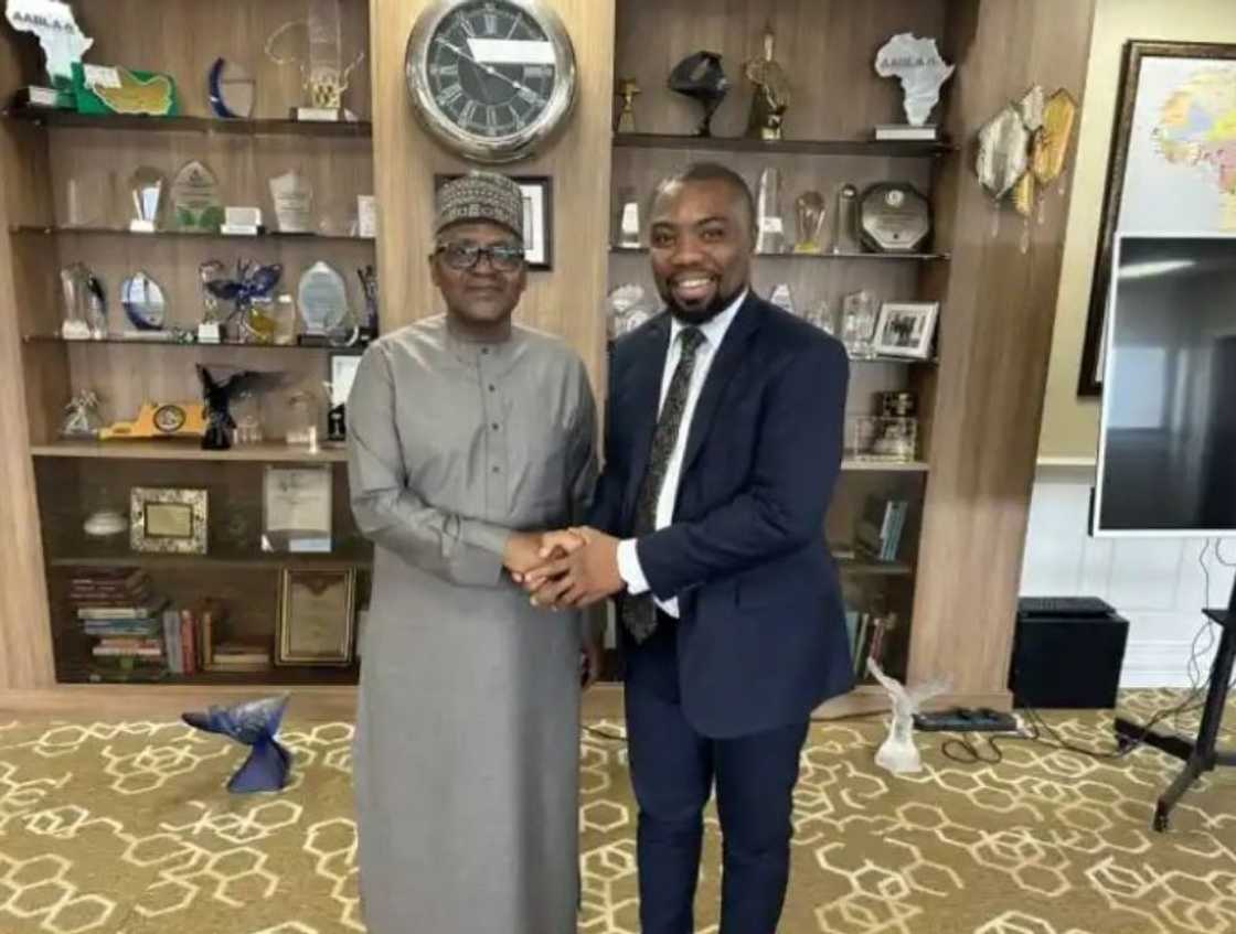 Opinion: Economic Analyst or Propagandist for Oil Sector Monopoly? By Hassan Adebayo Opinion: Economic Analyst or Propagandist for Oil Sector Monopoly? By Hassan Adebayo