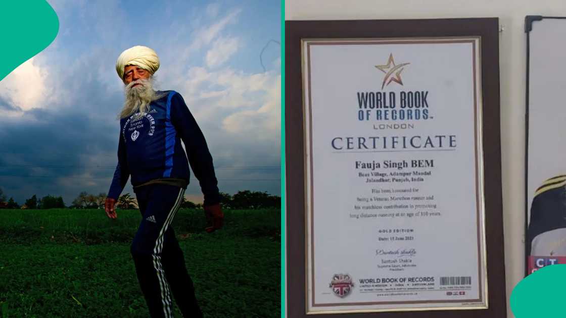 Fauja Singh killed by hit-and-run driver in India. Fauja Singh killed by hit-and-run driver in India.