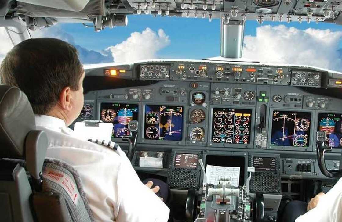 Bacci ya sace direban jirgin sama yana tuki Bacci ya sace direban jirgin sama yana tuki