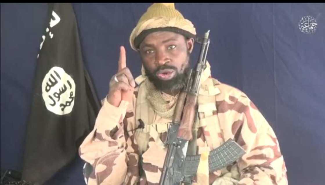 Da Dumi-Dumi: ISWAP Sun Afkawa Mafakar Shekau, Ya Kashe Kansa da Kansa Da Dumi-Dumi: ISWAP Sun Afkawa Mafakar Shekau, Ya Kashe Kansa da Kansa
