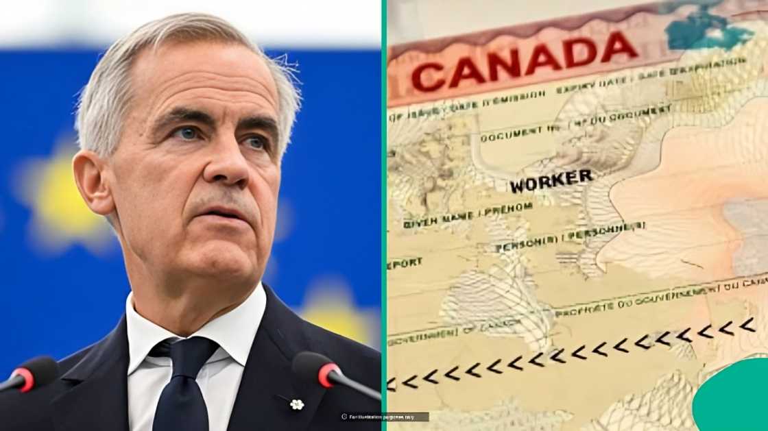 Canada names 11 categories exempt from employer-specific work permit fee Canada names 11 categories exempt from employer-specific work permit fee