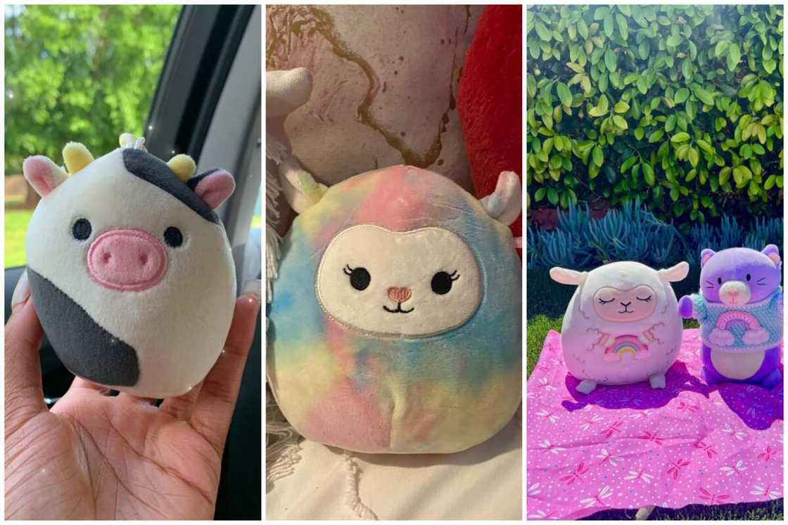 Rare Squishmallows