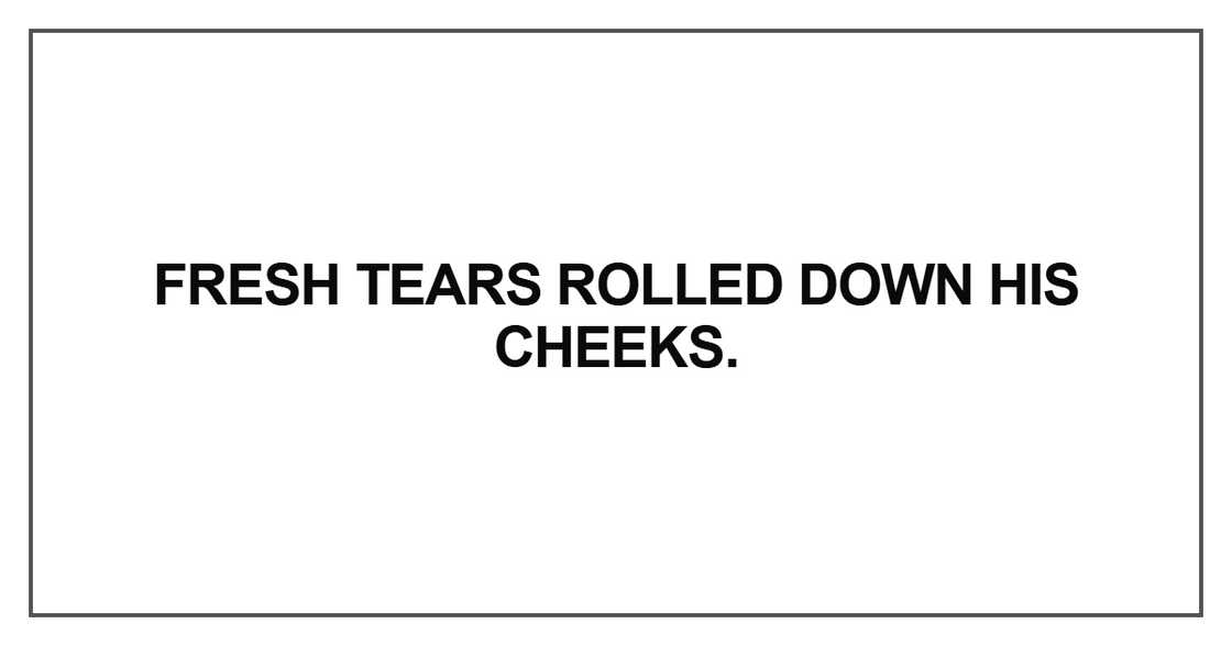 Fresh tears rolled down his cheeks Fresh tears rolled down his cheeks