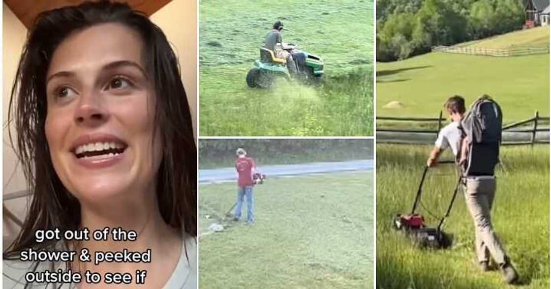 Mow their lawn, total strangers,lawn mower