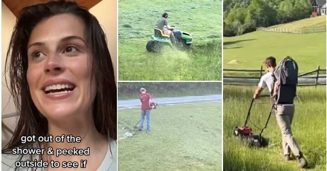 Mow their lawn, total strangers,lawn mower Mow their lawn, total strangers,lawn mower