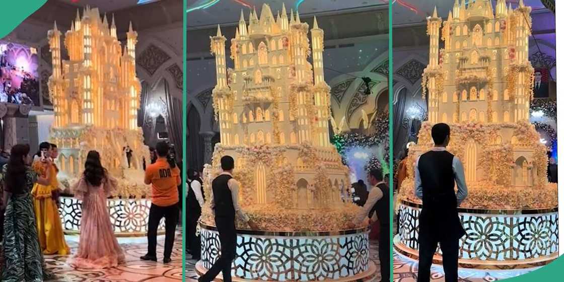 Couple shows off giant cake. Couple shows off giant cake.