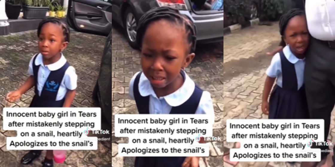 “Snail I am sorry”: Innocent Girl In Tears After Mistakenly Stepping On a Snail, Heartily Apologizes In Video “Snail I am sorry”: Innocent Girl In Tears After Mistakenly Stepping On a Snail, Heartily Apologizes In Video