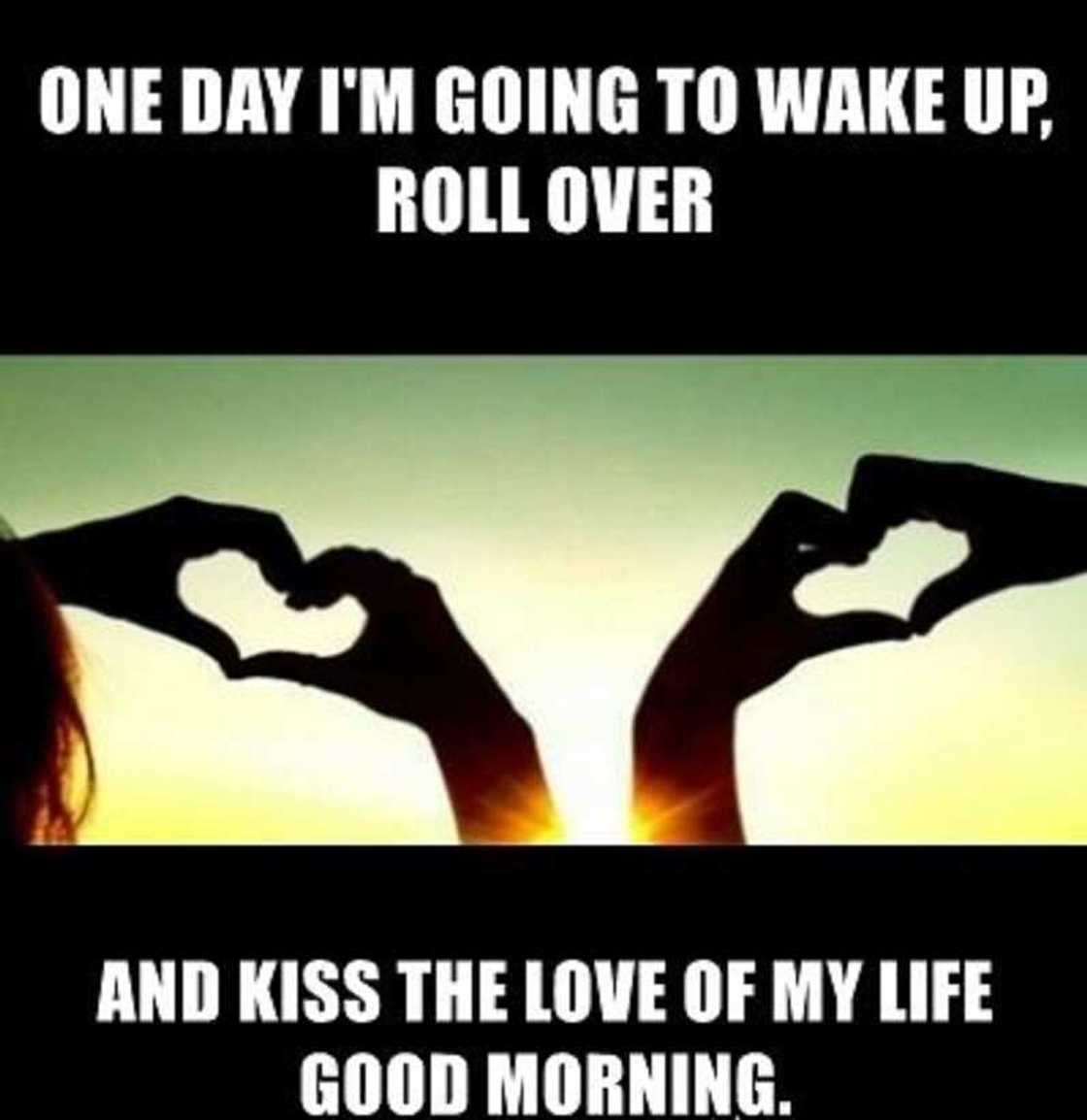 Funny good morning memes Funny good morning memes