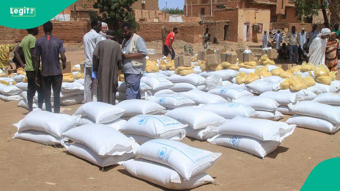Sudan conflict drives hunger as millions face acute food insecurity. Sudan conflict drives hunger as millions face acute food insecurity.