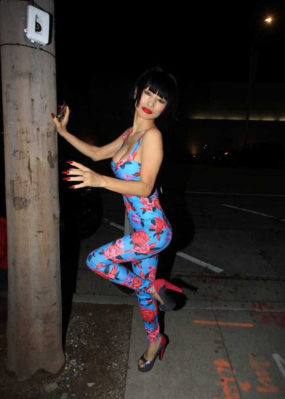 Bill Maher's partner Bill Maher's partner