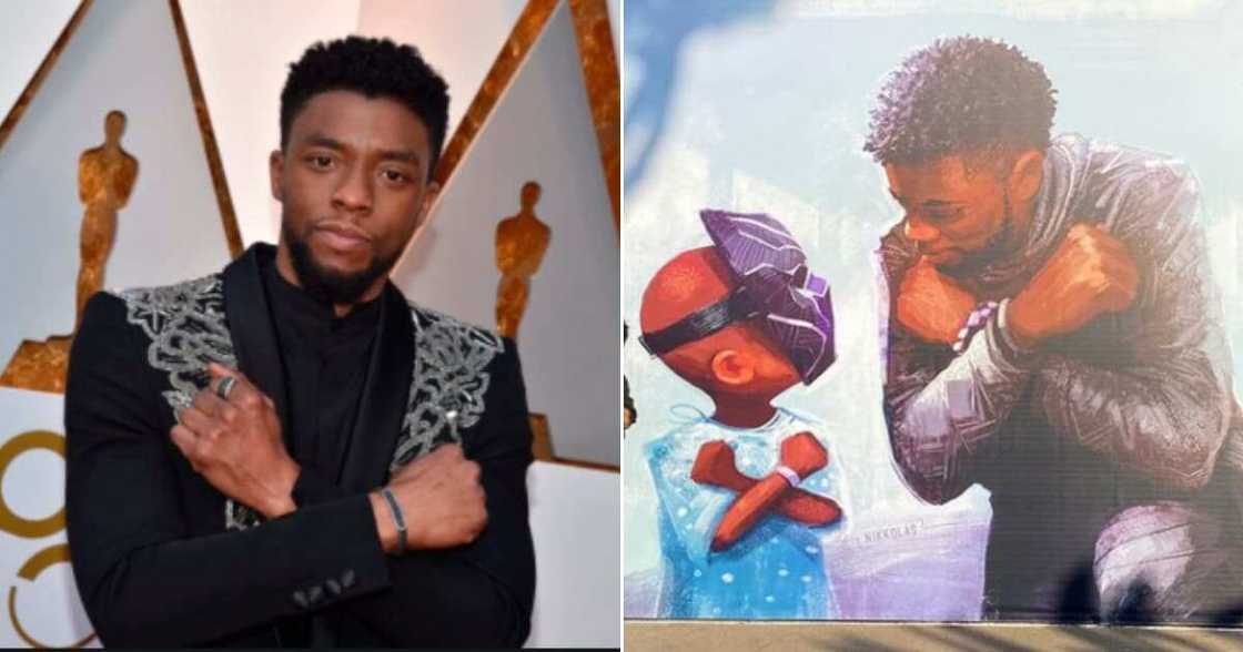 The late Chadwick Boseman honoured by Disney in breath-taking mural