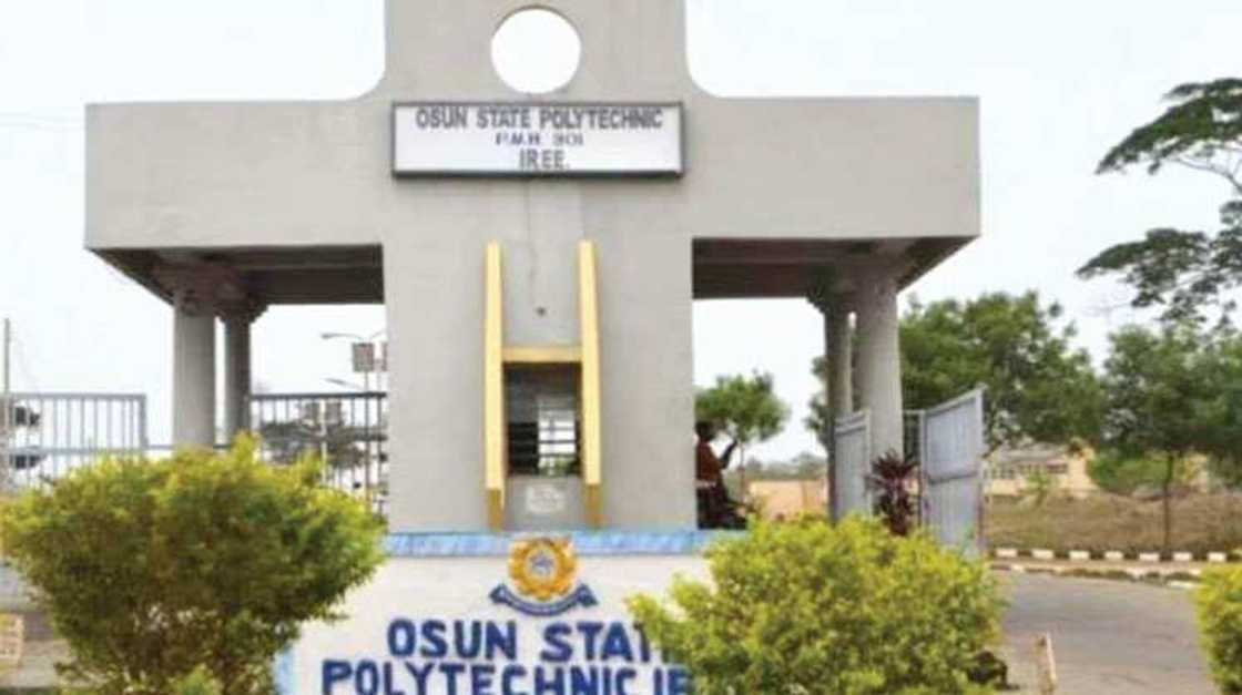 Kwalejin fasaha a jihar Osun