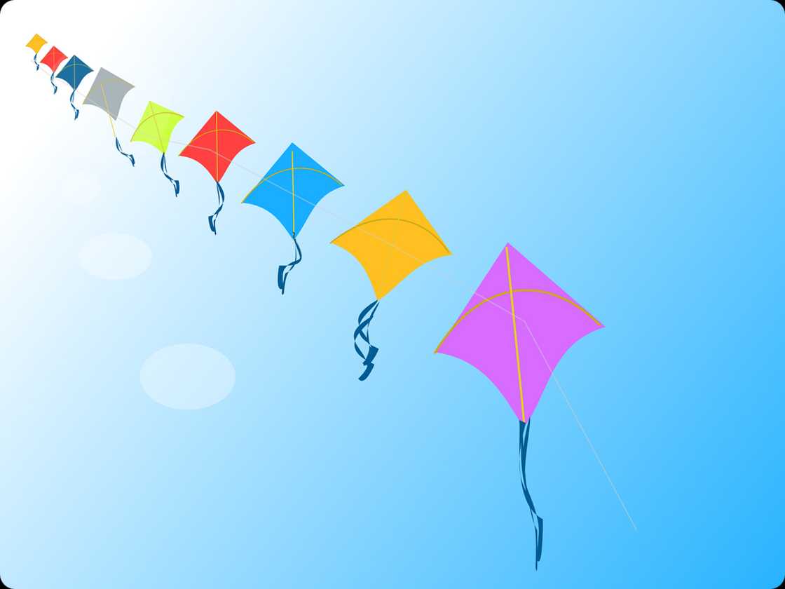 Kite shapes Kite shapes