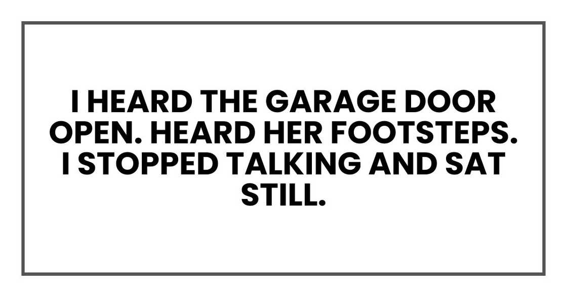 I heard the garage door open. Heard her footsteps. I stopped talking and sat still.