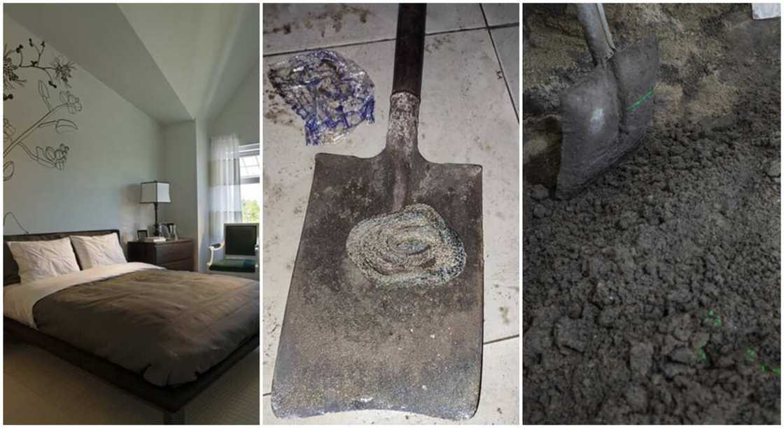 Dead snake found in the bed of of a Nigerian man who is late. Dead snake found in the bed of of a Nigerian man who is late.