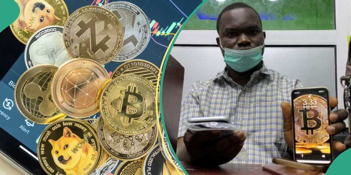 Crypto Bloodbath: 273,244 Traders Wiped Out as Bitcoin Plunges to $81.3K