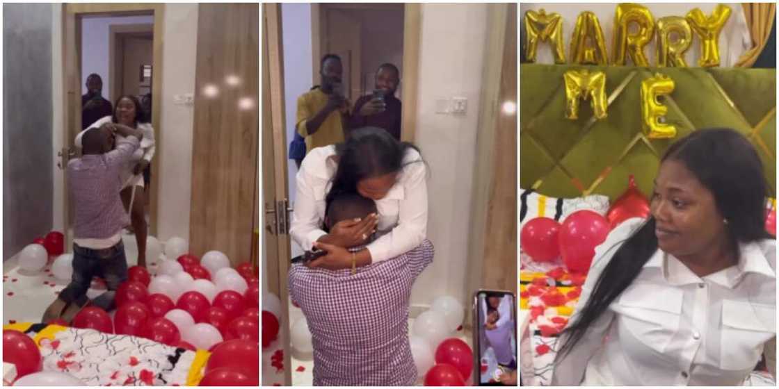 Debbi Shokoya proposal Debbi Shokoya proposal