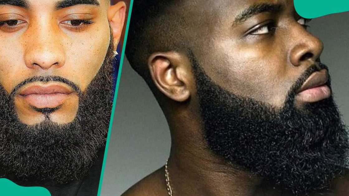 The Full Beard The Full Beard