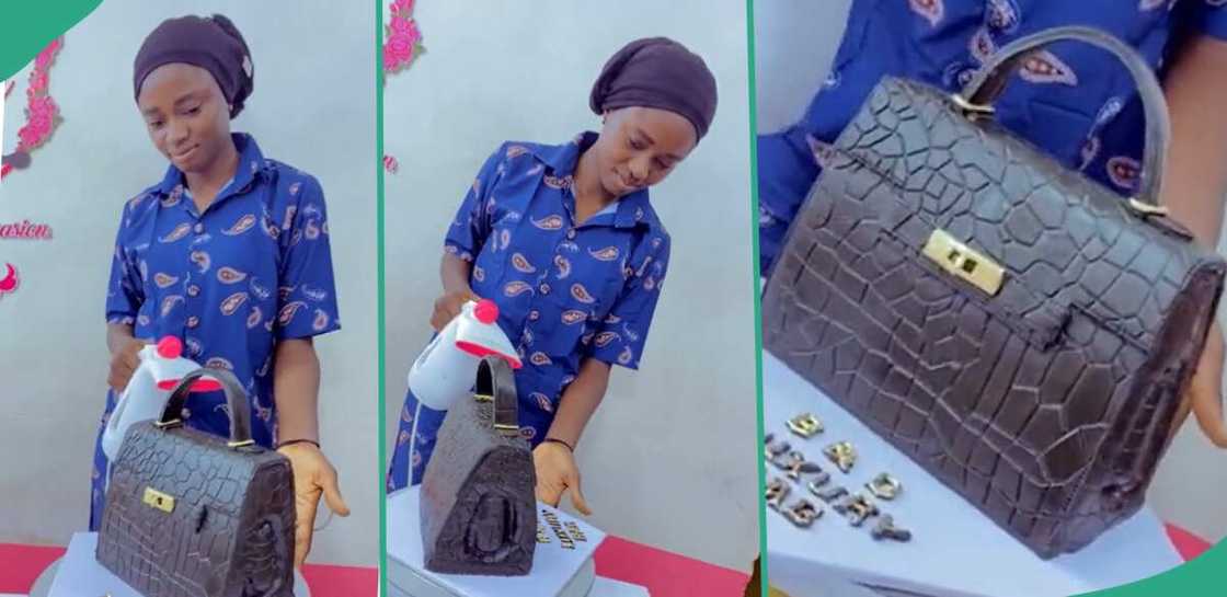 Lady bakes cake to look like a handbag. Lady bakes cake to look like a handbag.