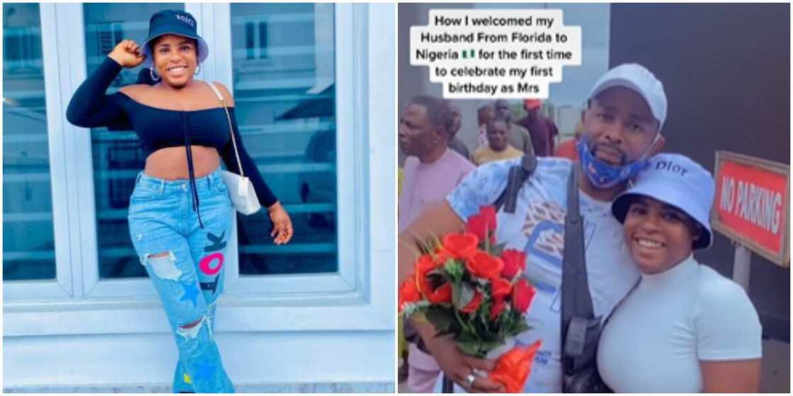 Lady Jasmine Lady Jasmine