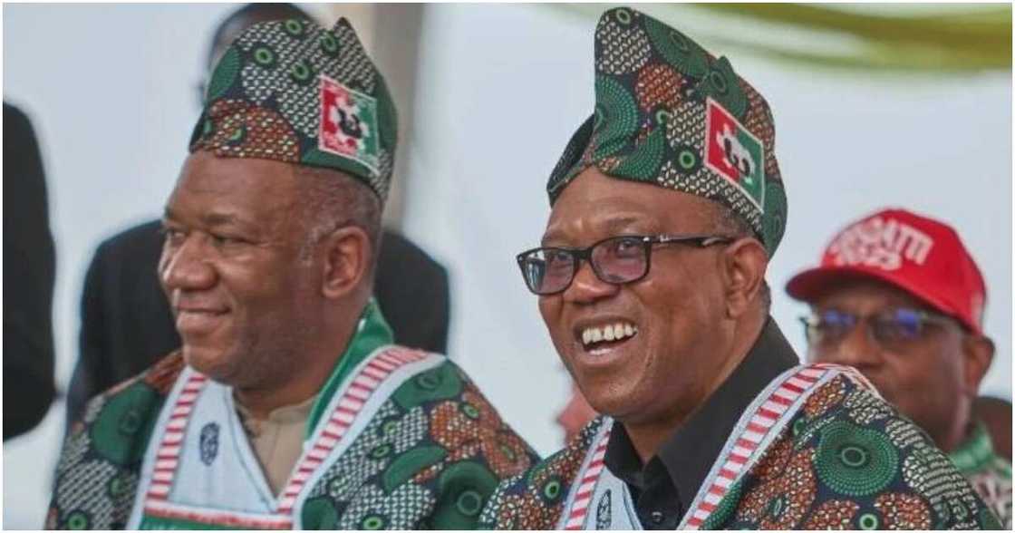 Peter Obi, Datti Peter Obi, Datti