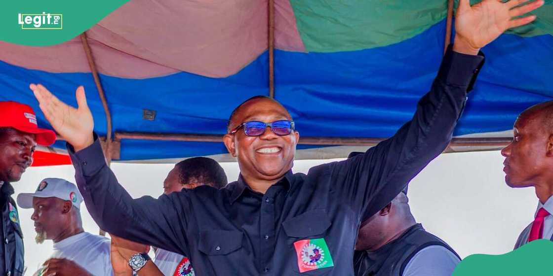 Peter Obi/Peter Obi news