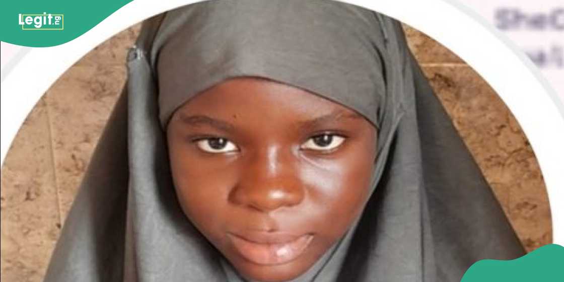 Talented teenage tech prodigy. Talented teenage tech prodigy.