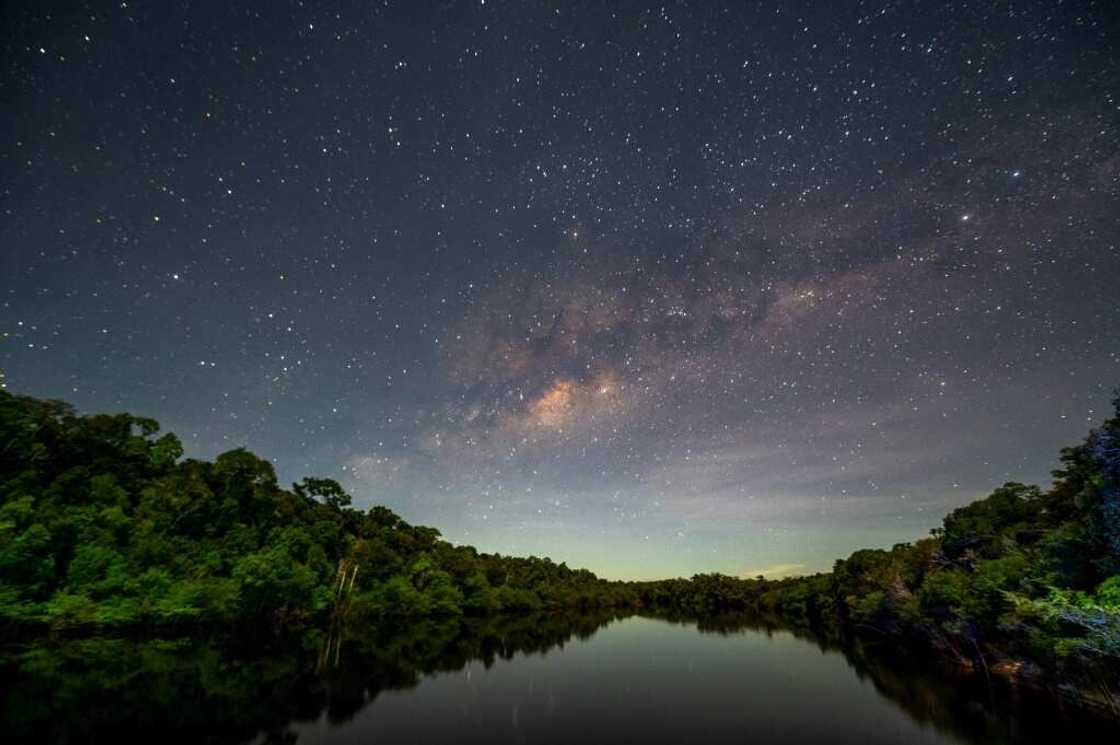 Recent research shows the Amazon rainforest, a key buffer against global warming, is in fragile health -- a major issue in Brazil and beyond as the South American country elects its next president