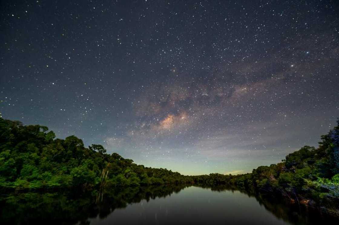 Recent research shows the Amazon rainforest, a key buffer against global warming, is in fragile health -- a major issue in Brazil and beyond as the South American country elects its next president Recent research shows the Amazon rainforest, a key buffer against global warming, is in fragile health -- a major issue in Brazil and beyond as the South American country elects its next president