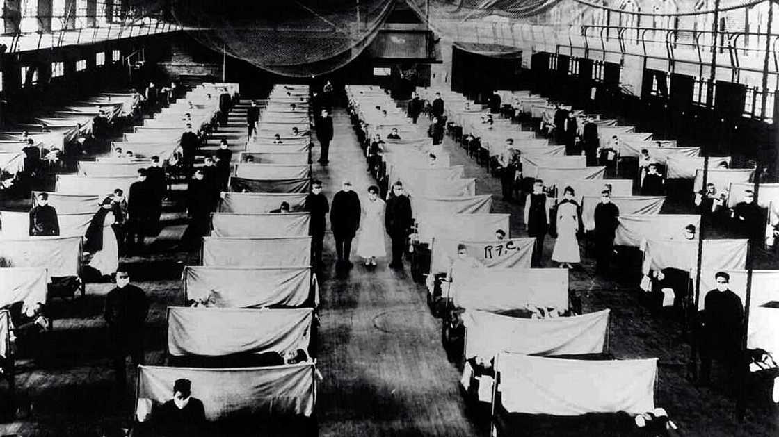Tout sur la grippe espagnole Tout sur la grippe espagnole