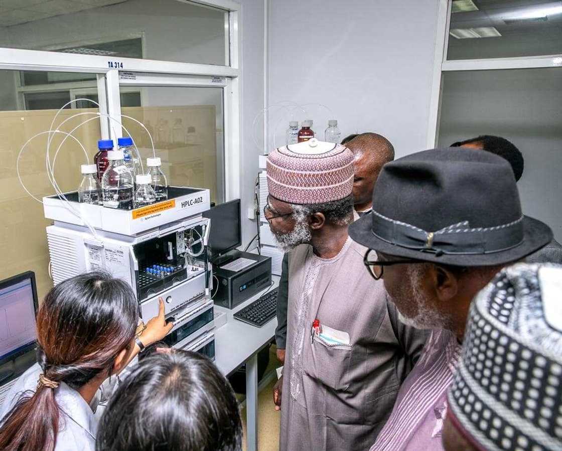 Shugaban NDLEA da wani Gwamna sun tafi kasar Thailand don gano yadda ake shuka tabar wiwi Shugaban NDLEA da wani Gwamna sun tafi kasar Thailand don gano yadda ake shuka tabar wiwi