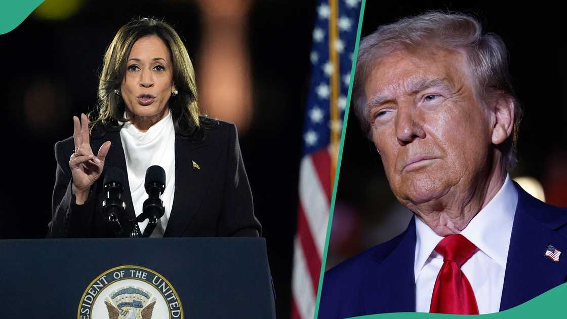 Kamala Harris tipped to win US presidential election Kamala Harris tipped to win US presidential election