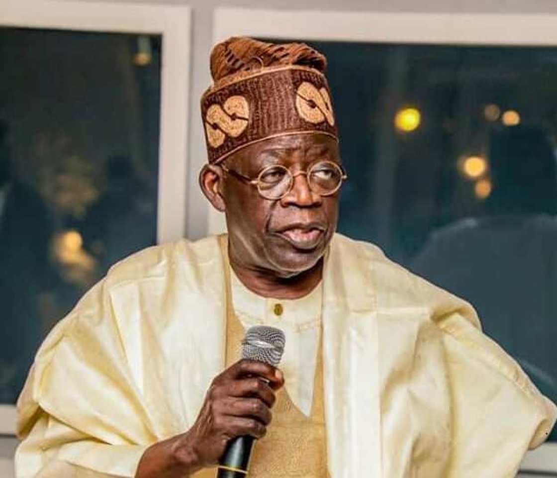 2023: Why the Northern Politicians may Betray Bola Tinubu - APC Chieftain 2023: Why the Northern Politicians may Betray Bola Tinubu - APC Chieftain