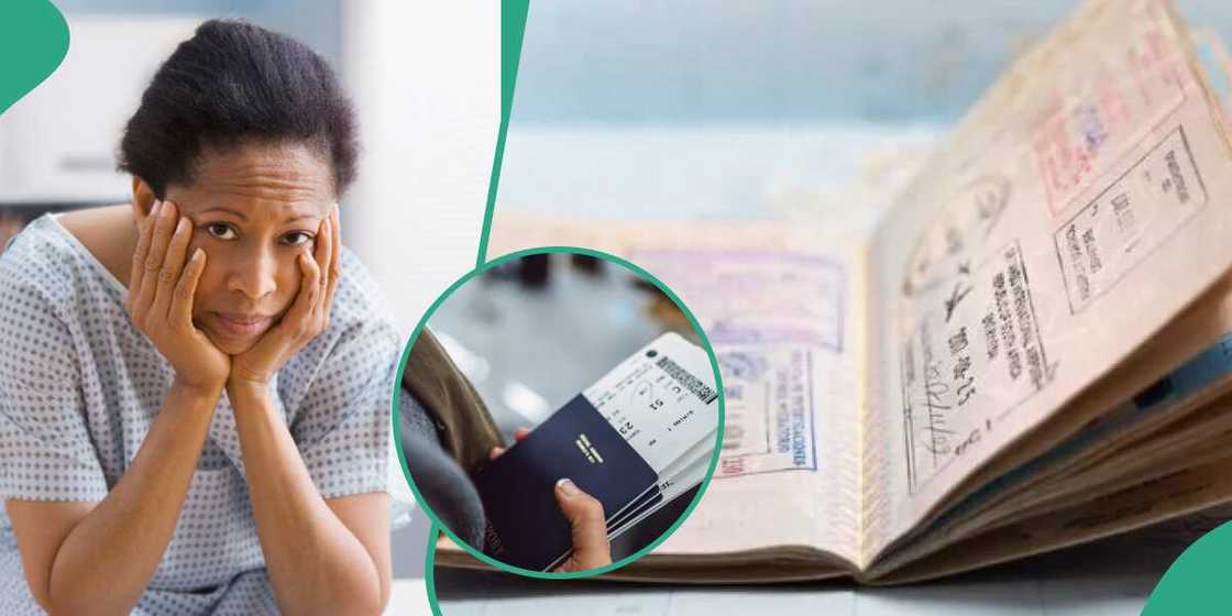 fake worker visa, UK fake worker visa, UK