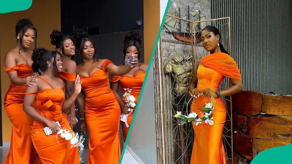 Burnt orange design Burnt orange design