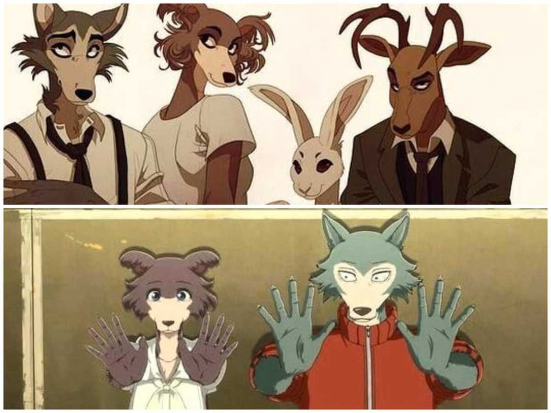 Juno et les personnages de Beastars Juno et les personnages de Beastars