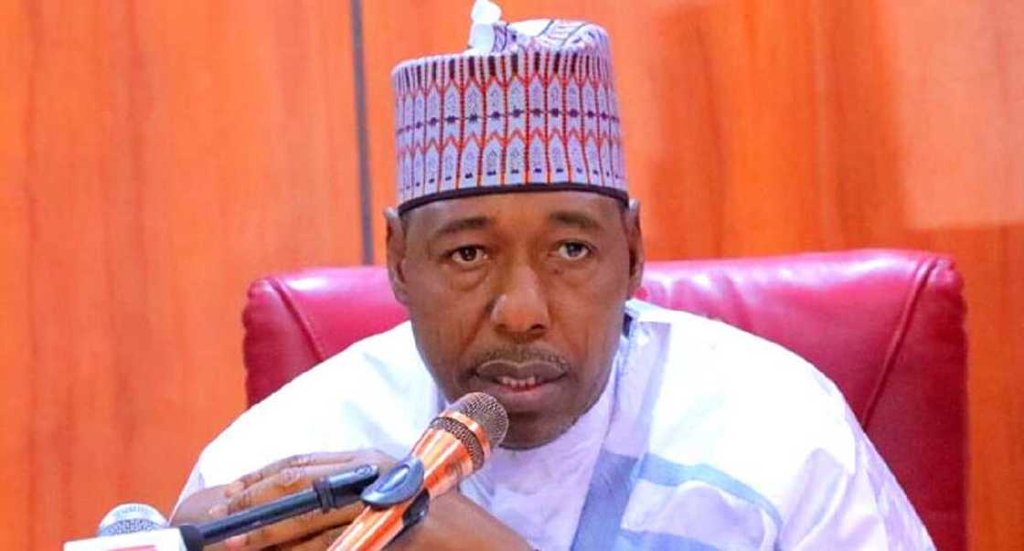 Ni ke shugabancin jihata, Zulum ya karyata rade-radin kafa gwamnan Boko Haram a Borno Ni ke shugabancin jihata, Zulum ya karyata rade-radin kafa gwamnan Boko Haram a Borno