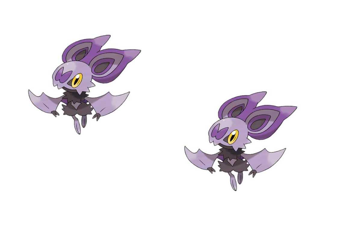 rare pokemon go rare pokemon go