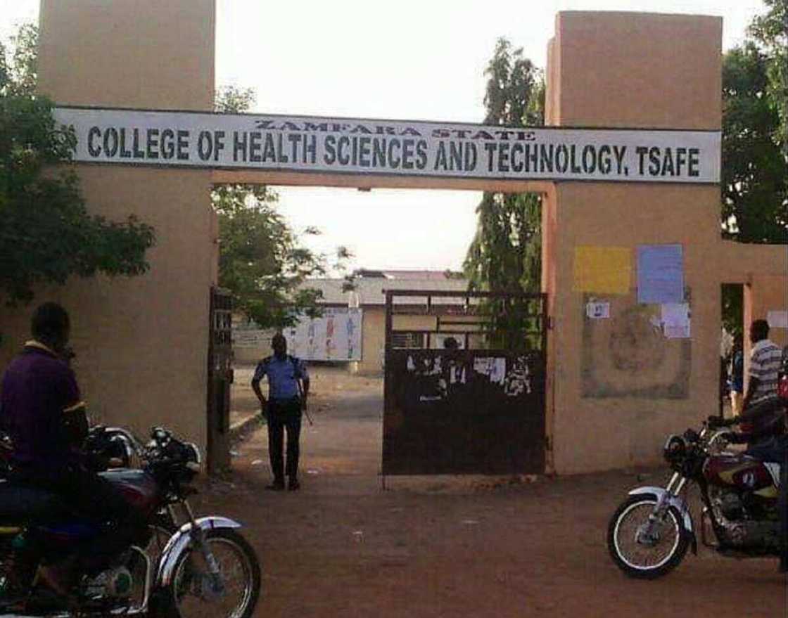 'Yan Bindigan Ba Su Yi Harbu Ko Sau Daya Ba', Ganau Ya Magantu Kan Yadda Aka Sace Ɗaliban Zamfara 'Yan Bindigan Ba Su Yi Harbu Ko Sau Daya Ba', Ganau Ya Magantu Kan Yadda Aka Sace Ɗaliban Zamfara