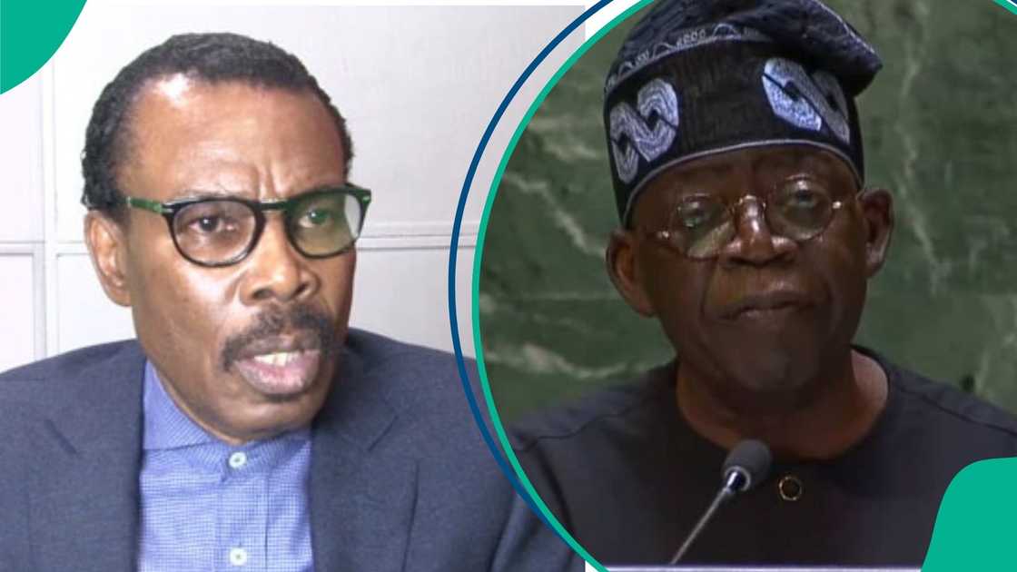 Rewane advises Tinubu on budgeting