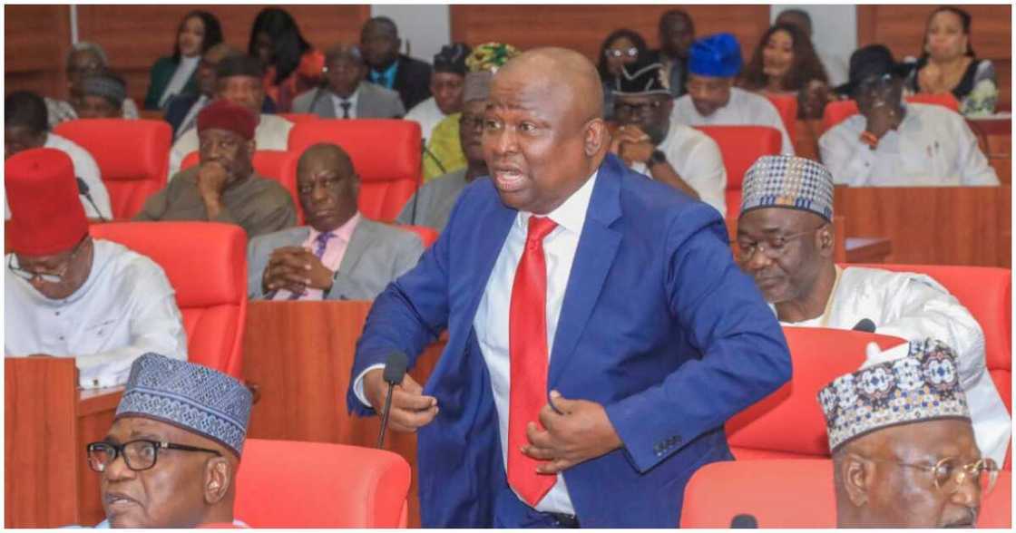 Yaron Tinubu Ya Samu Babban Mukami A Majalisa Yayin Da Akpabio Ya Nada Sabbin Mukamai Yaron Tinubu Ya Samu Babban Mukami A Majalisa Yayin Da Akpabio Ya Nada Sabbin Mukamai