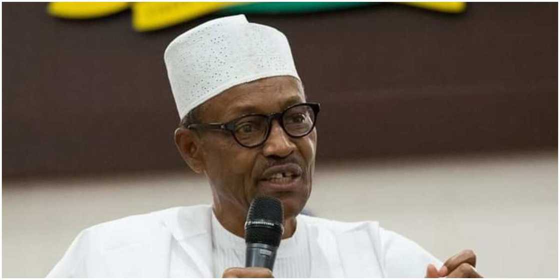 N4.89trillion loan will be borrowed by President Buhari when he gets Senate approval N4.89trillion loan will be borrowed by President Buhari when he gets Senate approval
