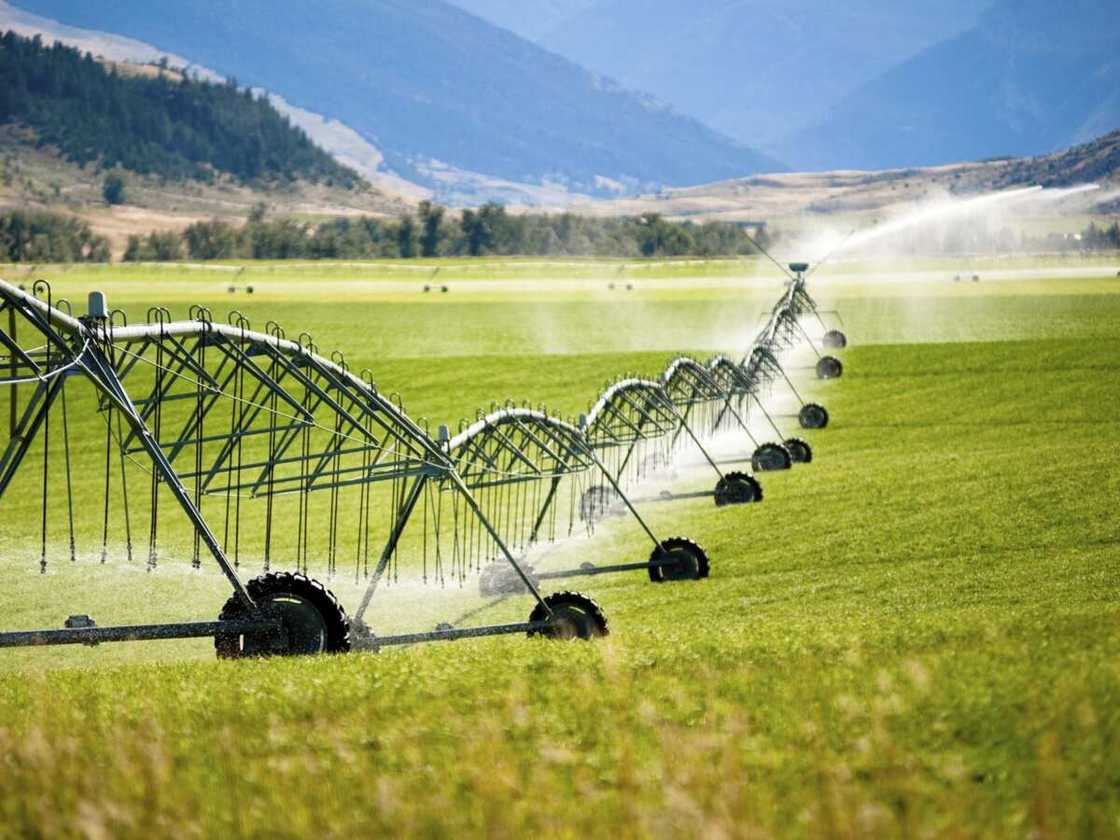 Water consumption Water consumption