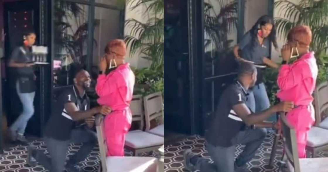 Waitress Drops All Champagne Glasses in Middle of Couple’s Proposal, Reactions Leave Netizens in Stitches Waitress Drops All Champagne Glasses in Middle of Couple’s Proposal, Reactions Leave Netizens in Stitches